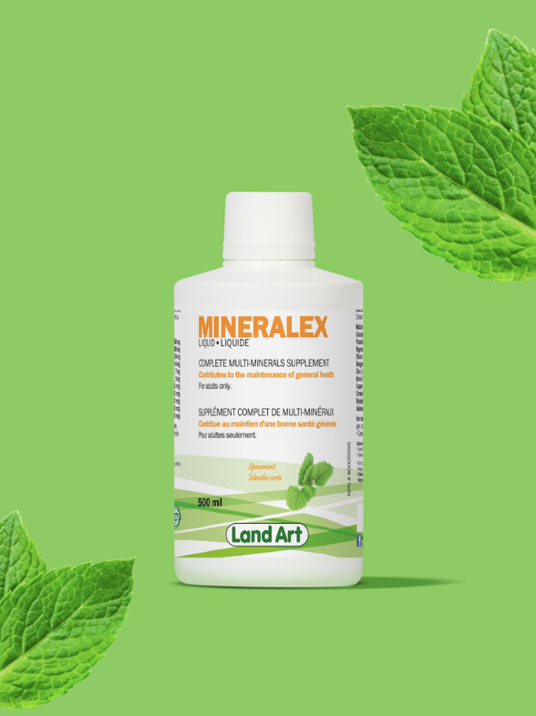 Mineralex - Supplément liquide 500ml - Menthe verte - Land Art